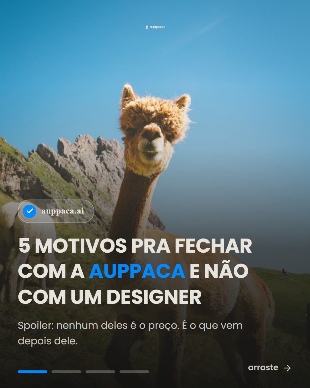 Exemplo real de carrossel gerado no Auppaca